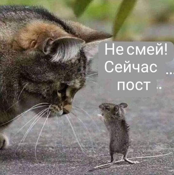 Прикольные и просто красивые картинки 28.03.2025