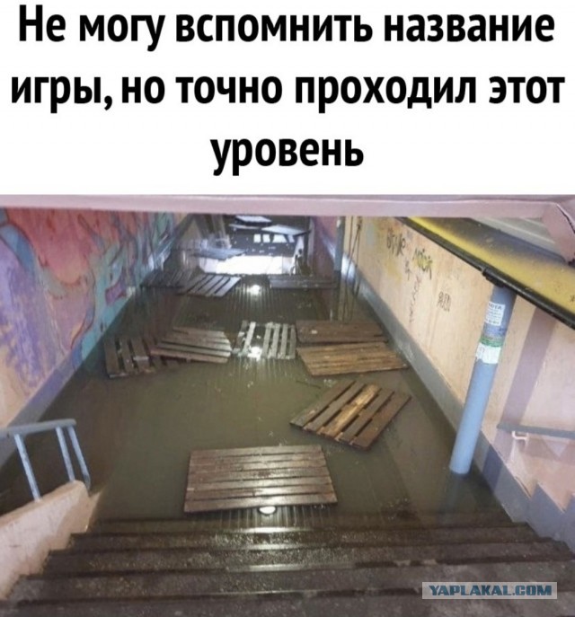 Весёлый полтишок 14.05.25.