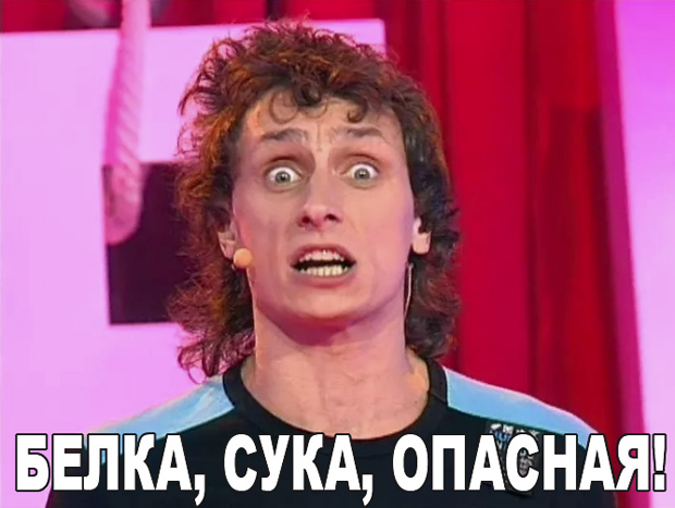 Белка включила режим "берсерка"