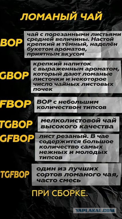 В чае кто-то шарит?