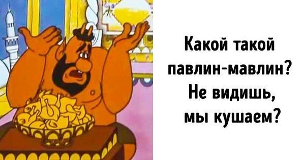 Мужчина из Флориды съел своих домашних павлинов назло соседке