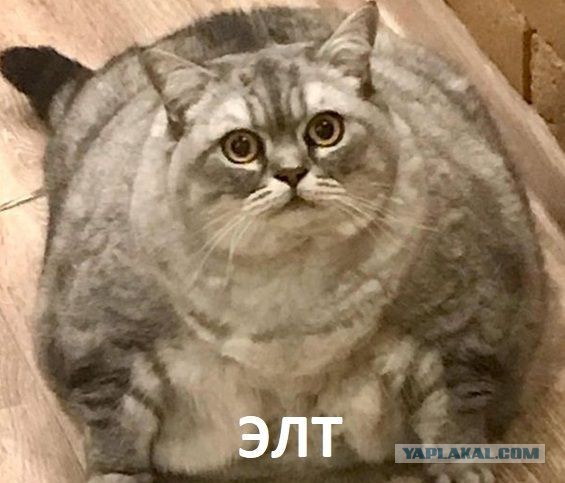 Спор закрыт