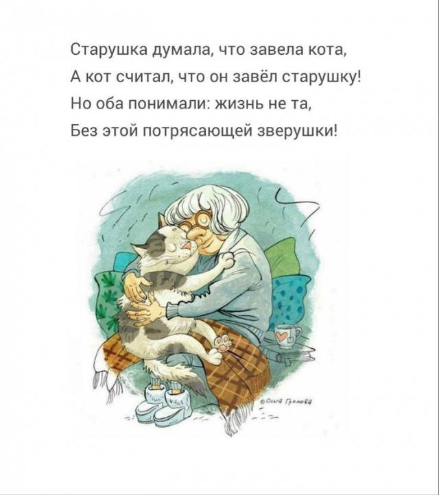К котовторнику: подборка картинок-баянов с котиками и про котиков. Выпуск 28.