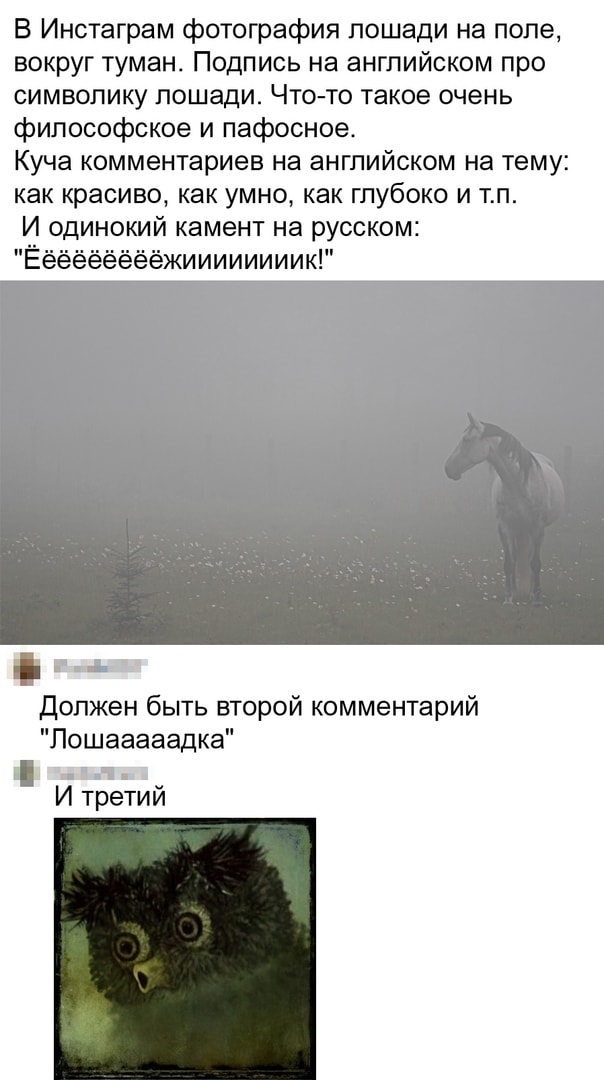 Картиночки, баянчики 05 февраля