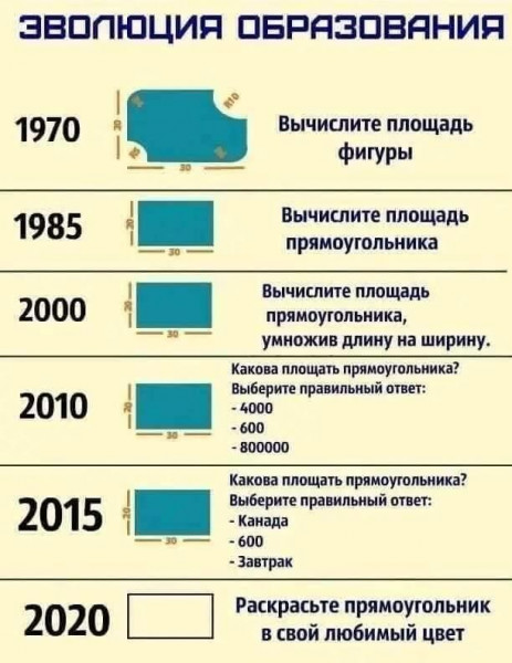 20779271.jpg