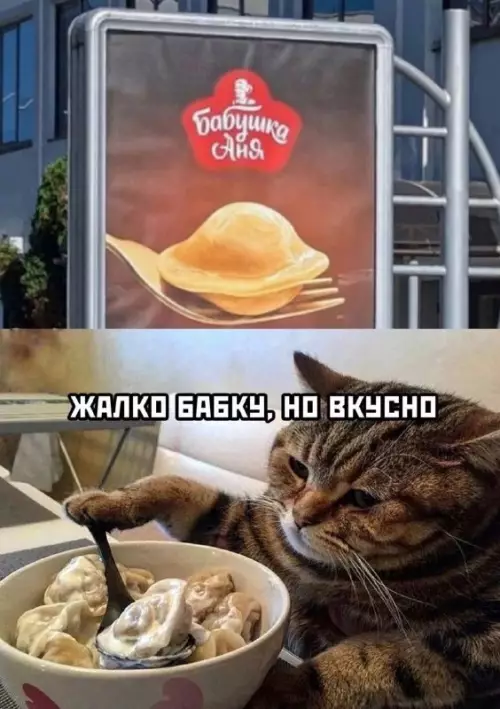 День пельменя