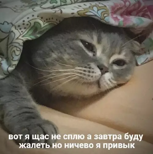 Картиночки, баянчики 24 февраля