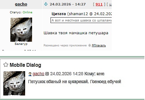 Картиночки, баянчики 27 февраля