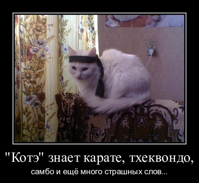 Почему в СССР запретили карате?