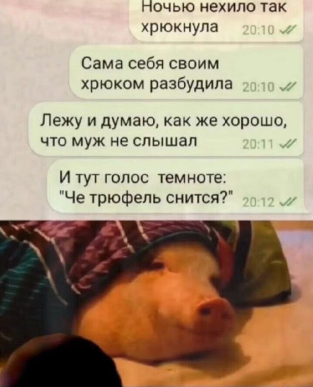 Врач из Британии назвал ночную привычку, из-за которой разводятся 47% пар - это храп