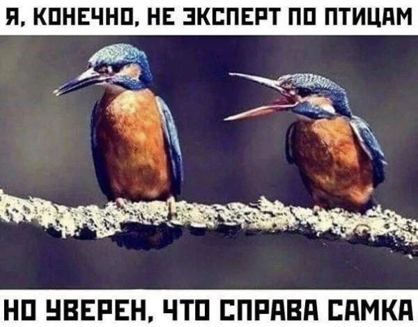 Так себе картинки 24.07.26