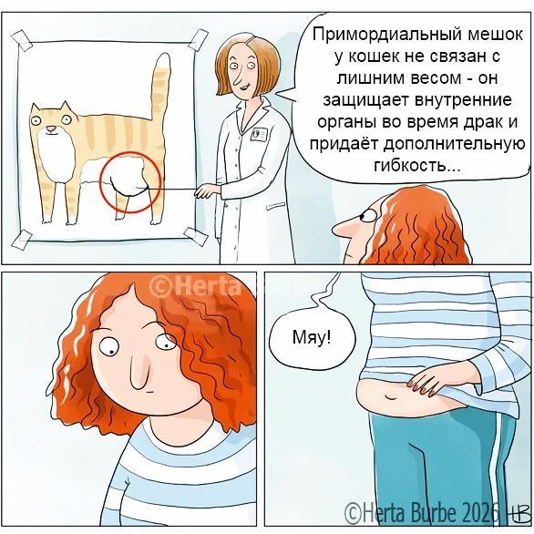 Доброжизокомиксы