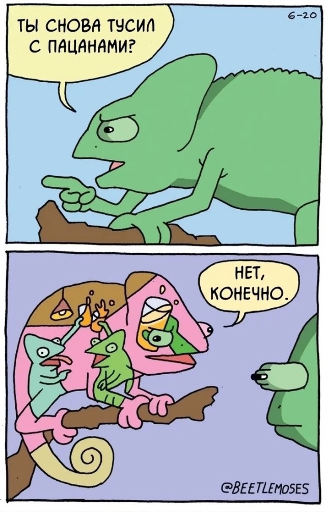 На каждом фото кто-то есть
