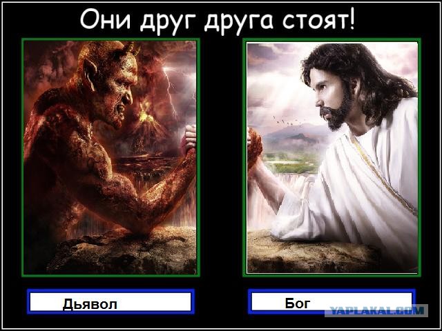Они друг друга стоят!