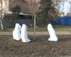 Засохло дерево