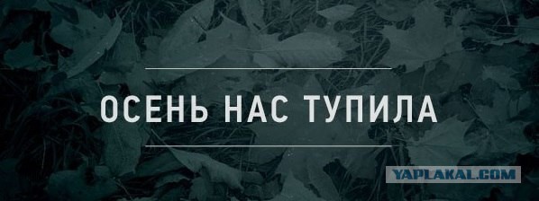 Это разочаровательно.
