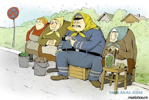 Приколы и маразмы 2