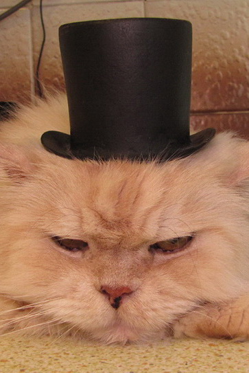 Мое папье-маше