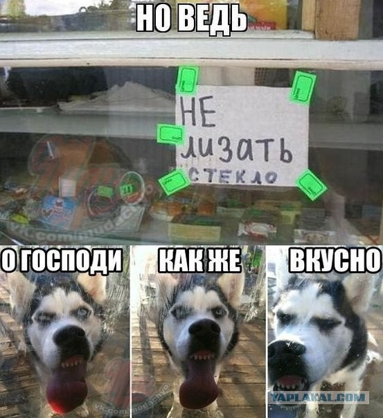 Весёлые картинки. Разбавим будни