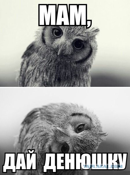 Весёлые картинки. Разбавим будни