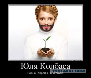 Карикатурки на тему украины...