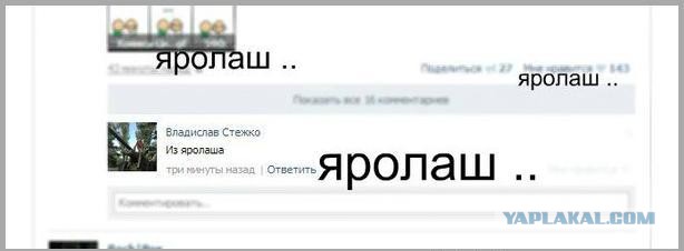 Грамматнасть и нтилехт вконтактовских обитателей