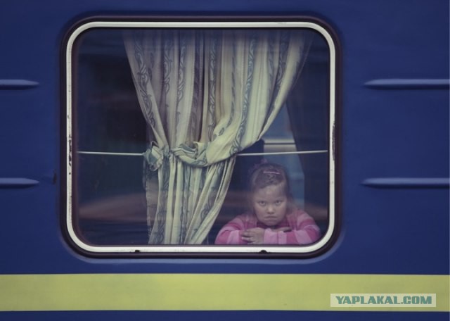 А ведь он может и съесть!