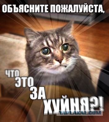 Из них 99,99% уже бу...