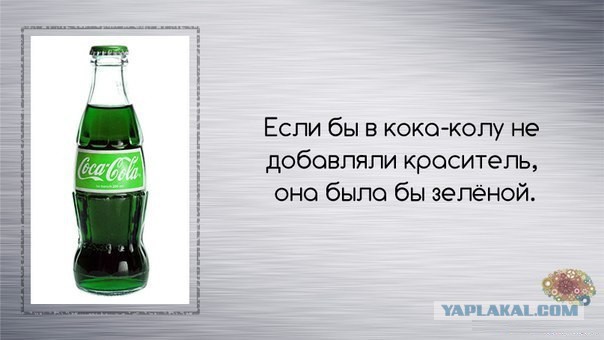 Неизвестные факты обо всём