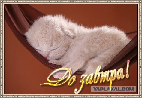 Плюсомет со шпалометом