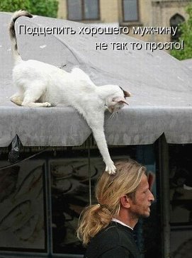 Смешное из сети #2