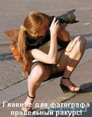Вестник соцсетей
