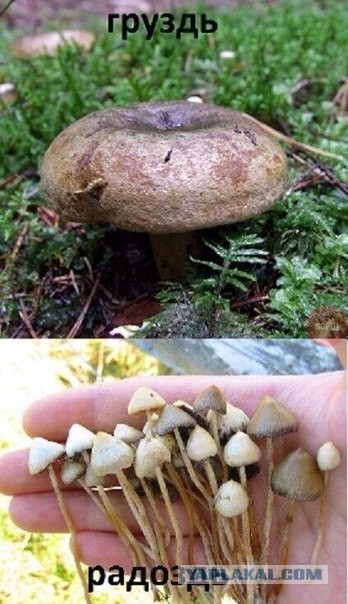 Картинки из сети на вторник