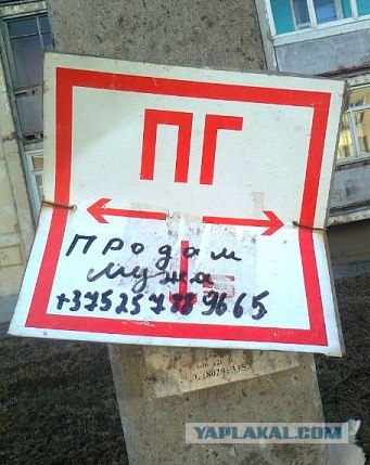 Фото с телефона