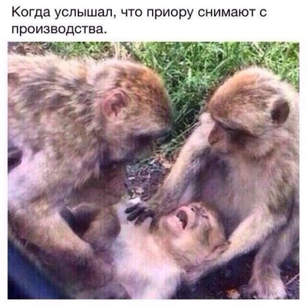 Автоприколы