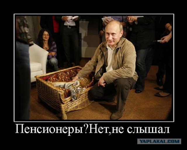 Дед в маршрутке