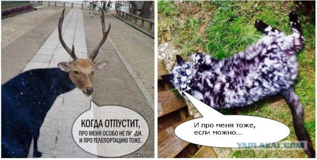 Антигравитационная катапульта
