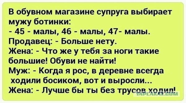 Немного юмора, заимствованного из сети