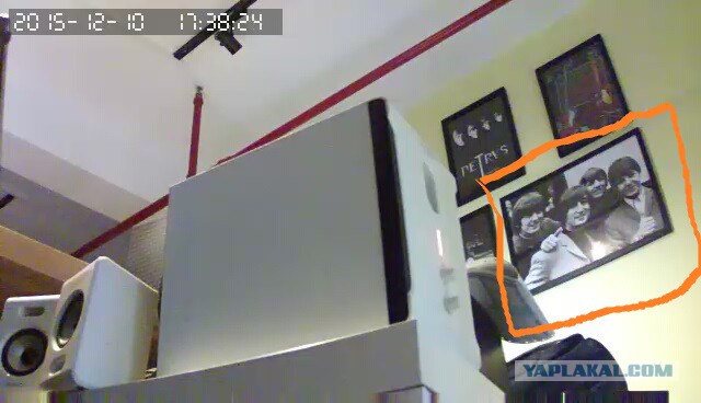 За что я люблю китайцев