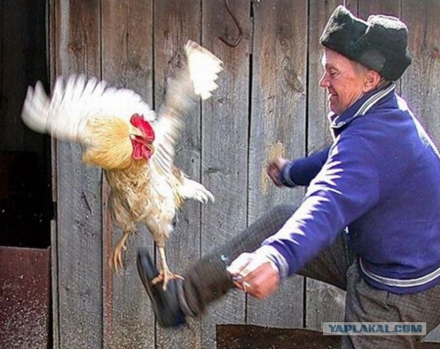 Протирали жезл пятитысячной купюрой