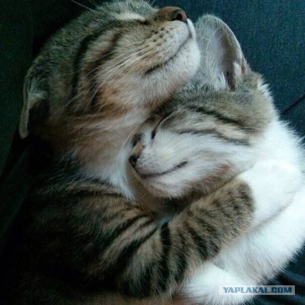 Разные картинки