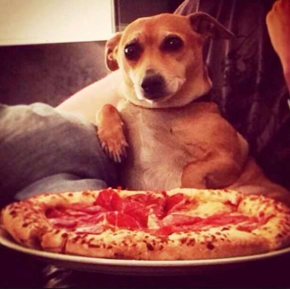 Подборка картинок 24.02.16