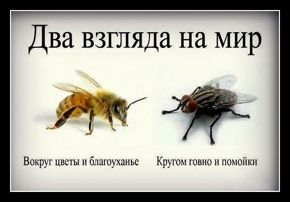 Нашел киноляп в "Кавказской пленнице", ранее никем не отмеченный