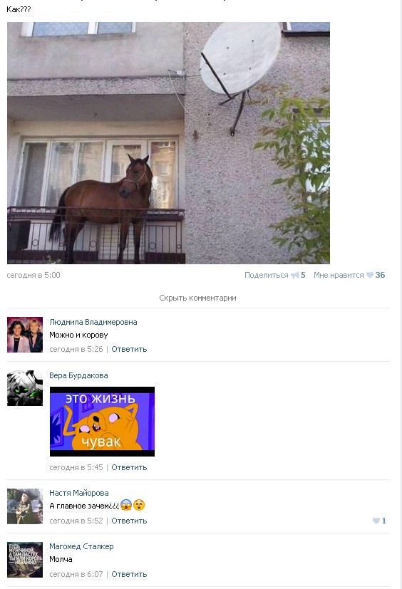 Ужасы и приколы из соцсетей 18+