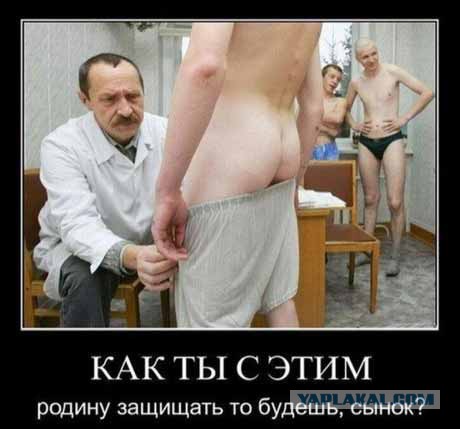 Небольшая подборка демотиваторов