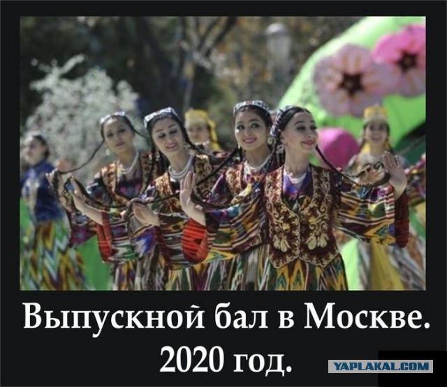 Пусть патриоты - таджики сидят дома!
