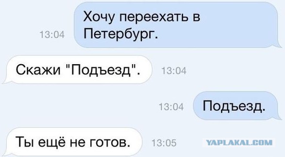 Смольный поблагодарил Шнурова и клип «В Питере — пить» за привлечение в город туристов