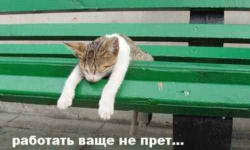 Интересные и веселые картинки