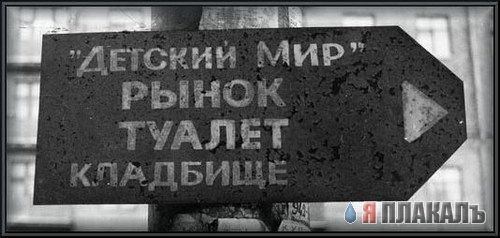 ВЫВЕСКИ, ТАБЛИЧКИ. Смешные и прикольные