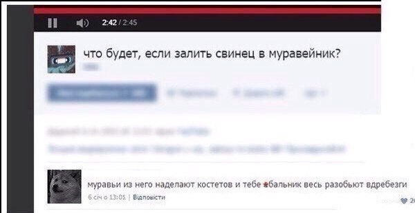 Забавности из интернетов